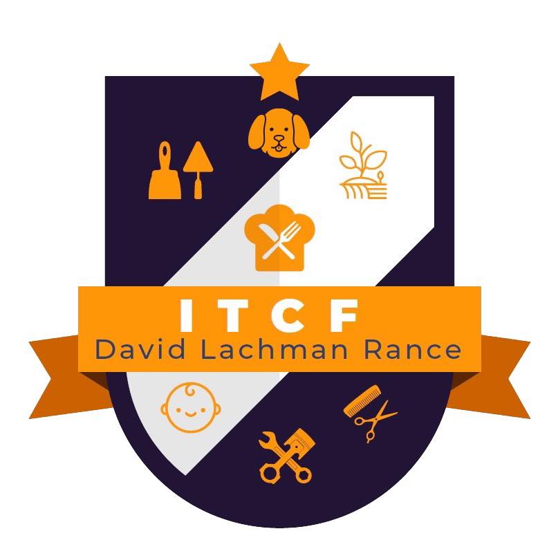 Institut Technique de la Communauté Française David Lachman