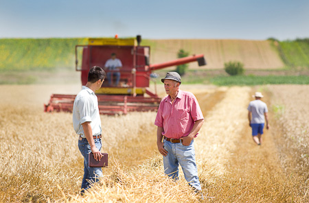 Technicien·ne en agriculture>