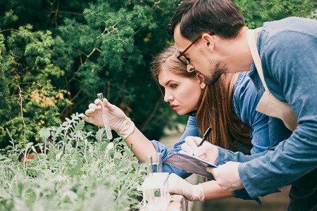 Technicien·ne en horticulture>